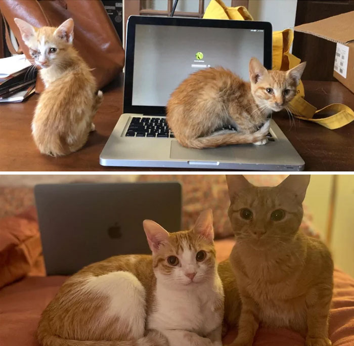 Rabbit & Cricket, 1 Year Later