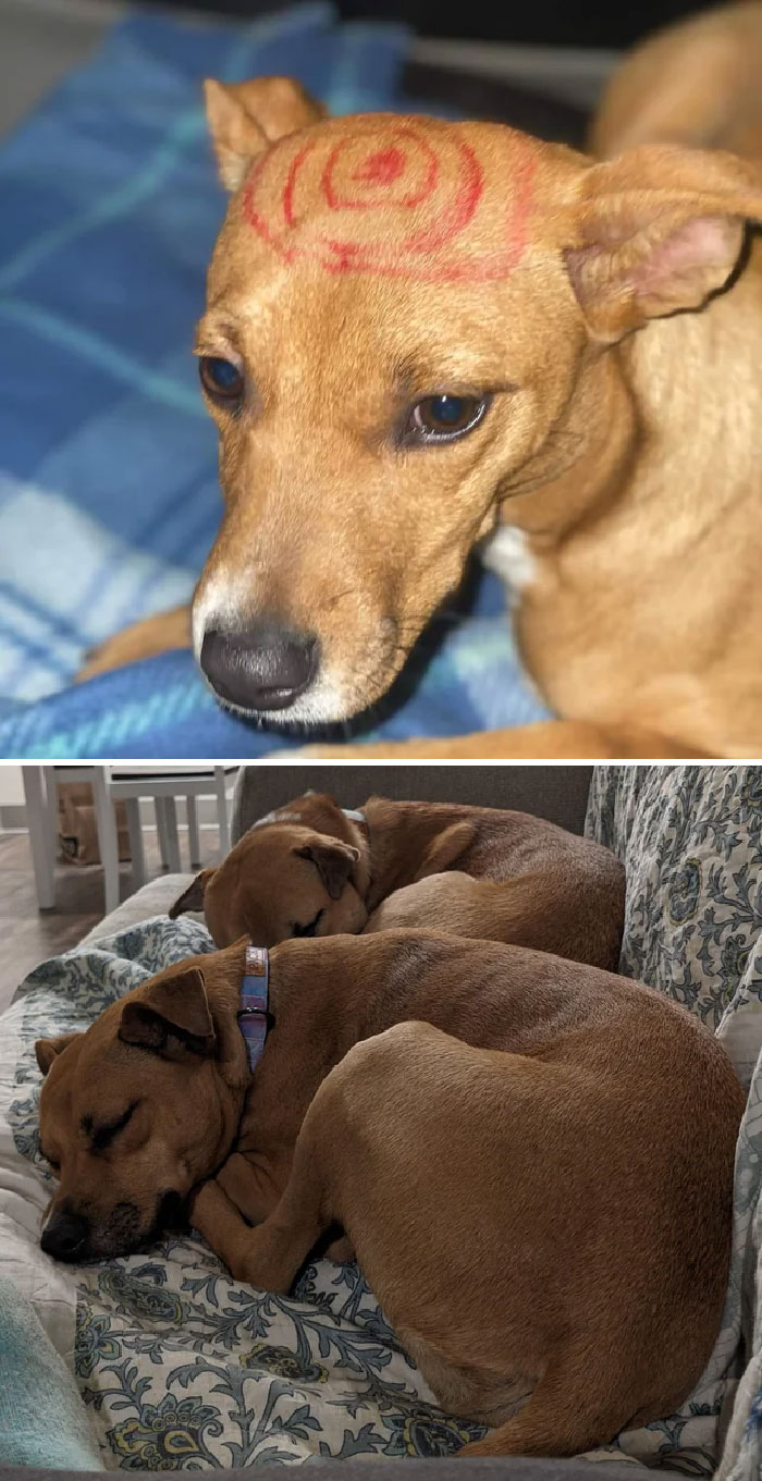 From Straying To Staying