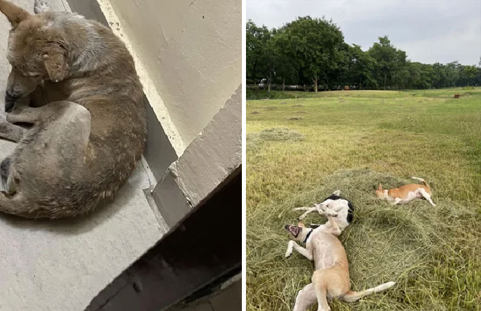 1 Month Transformation