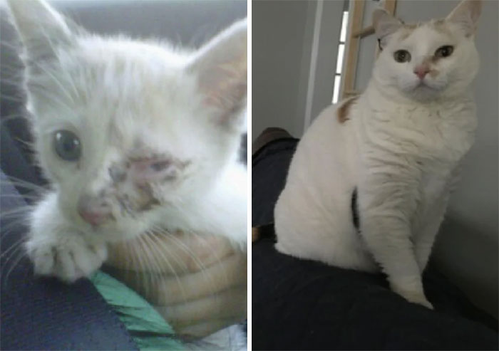 Celebrating Fiona’s 12th “Found Day” This Month!