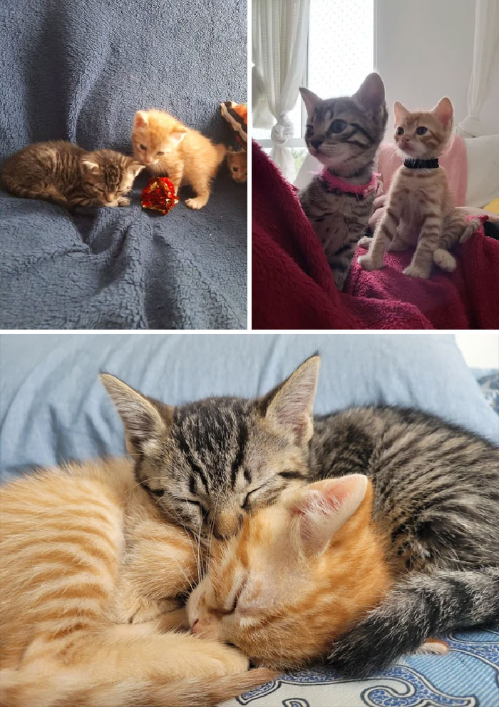 Hello, We Are Glória And Joaquim