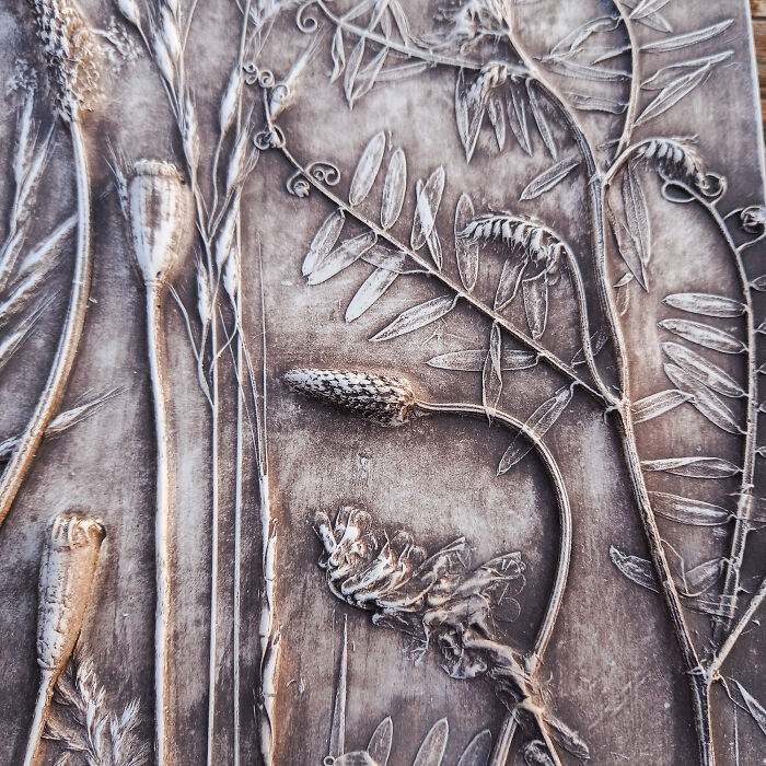 Wild Herbs In Black (5 Pics)