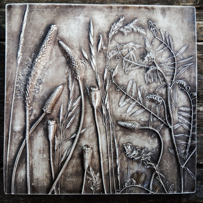 Wild Herbs In Black (5 Pics)