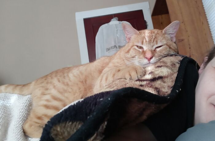 He Has To Lay On Top Of Me As Soon As I Lay Down