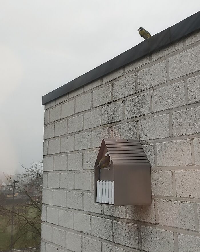 Looking For A Free Room