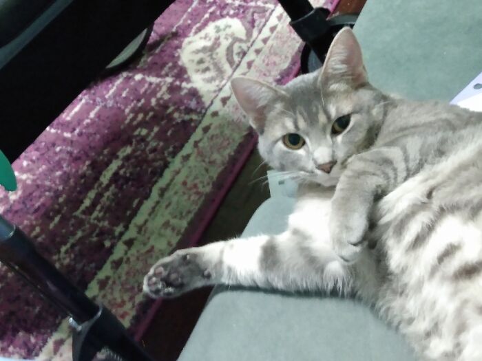 Bouche Lying Next To Me On The Sofa