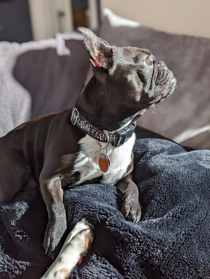 Mina Basking In The Sun