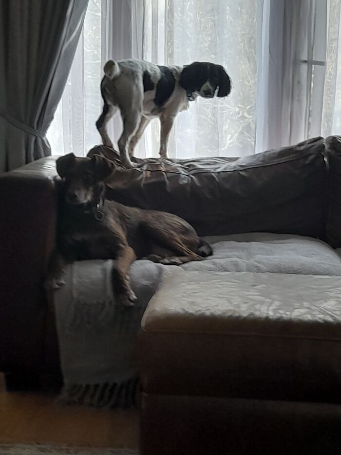 Douglas And Albert Reigning Over Their Kingdom