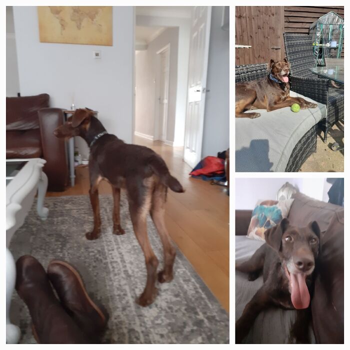 From Skinny, Scared And Exhausted To Relaxed And Happy, Romania To UK Over 3 Years