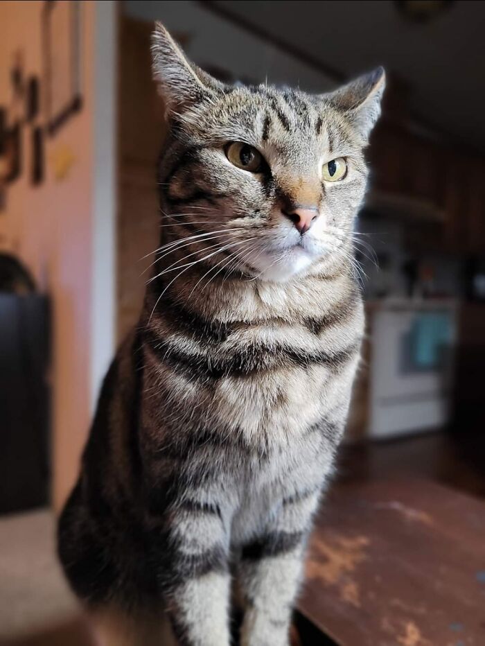 "Not The Hero We Deserve, But The Hero We Needed."