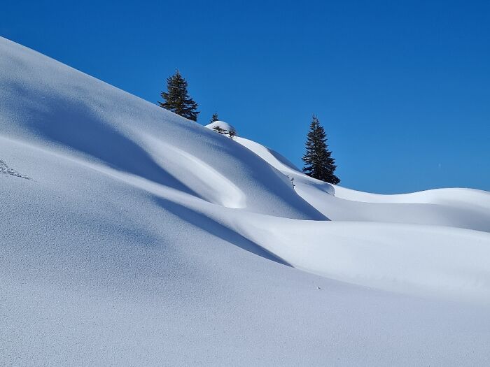 I've Never Seen This Much Snow Before
