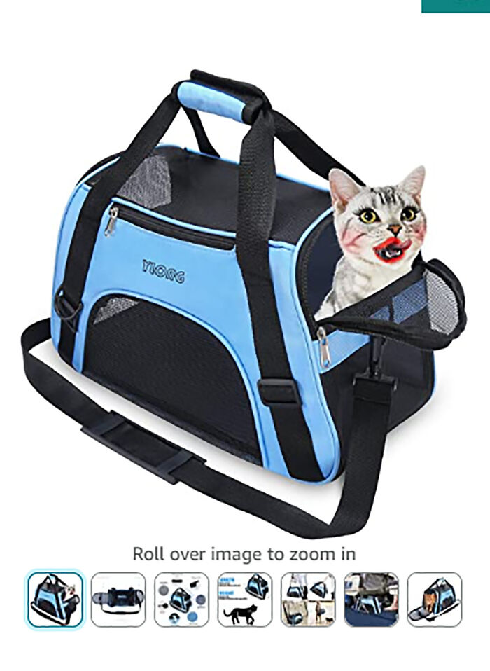 Someone's Playing With Snapchat Again!