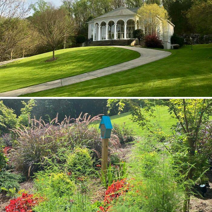 Before (Top) And After. Y’all Convinced Me To Get Rid Of Half My Lawn To Make It More Biodiverse. Now We Have A Bee Habitat And A Registered Monarch Butterfly Sanctuary Where Lawn Was