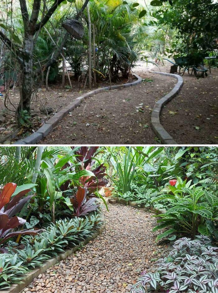 Before And After (Costa Rica)
