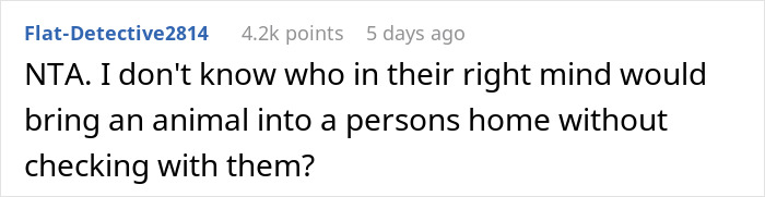 Babysitter Sneaks A Dog Into Her Clients&rsquo; Home Without Telling Them Beforehand, Gets Fired On The Spot