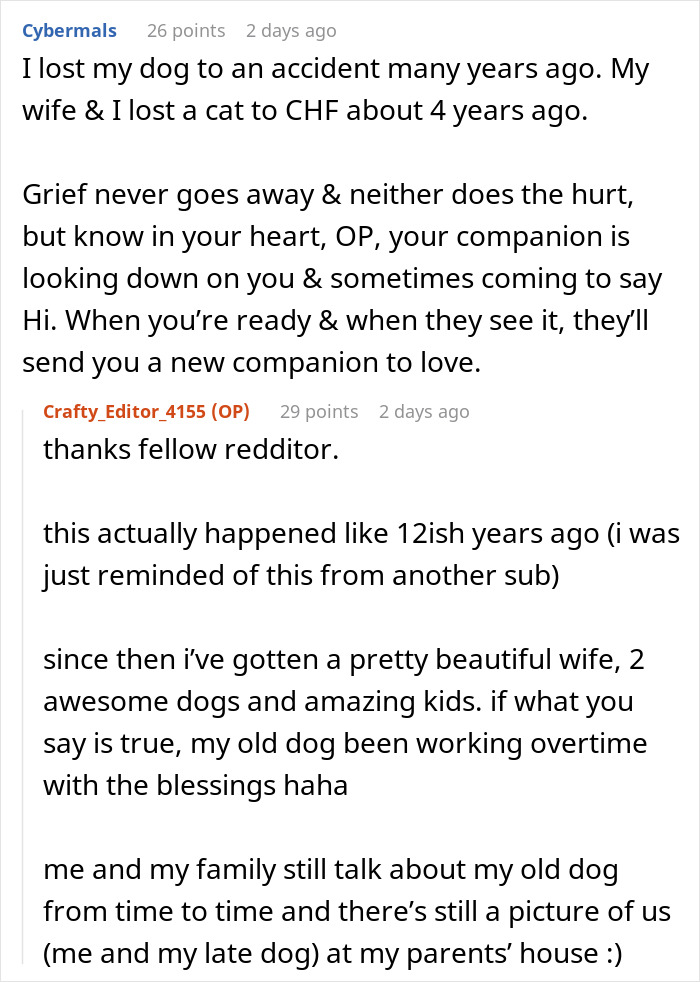 "It's Just A Dog": Employee's Dog Dies, His Boss Makes Him Show Up For Work, So He Maliciously Complies