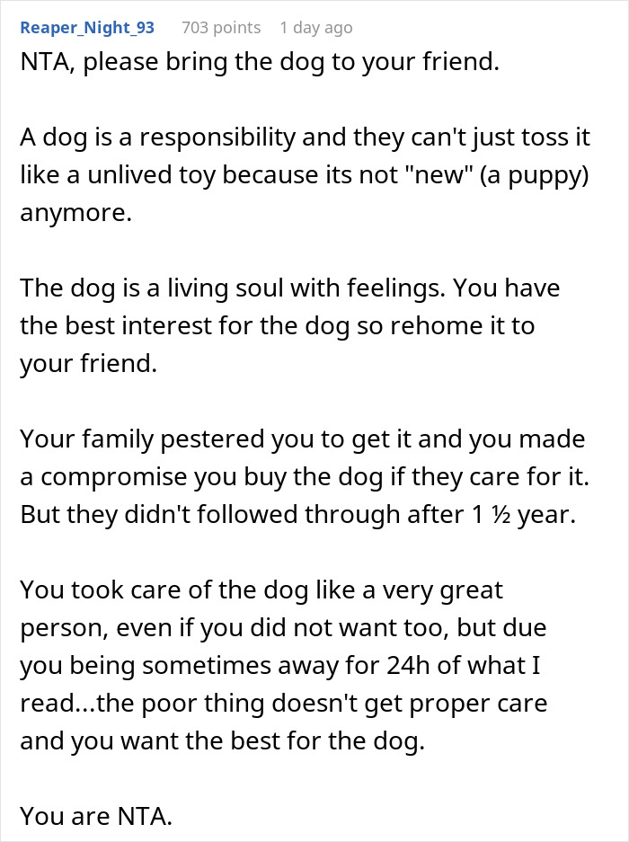 Man Never Wanted A Dog But Allowed His Wife And Kids To Have One As Long As They Took Care Of It, Gets Called A Jerk For Calling Out Their Neglect