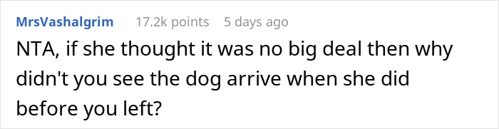 Babysitter Sneaks A Dog Into Her Clients&rsquo; Home Without Telling Them Beforehand, Gets Fired On The Spot