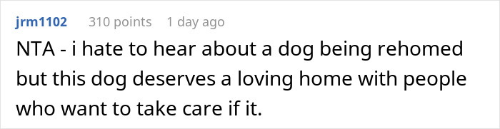Man Never Wanted A Dog But Allowed His Wife And Kids To Have One As Long As They Took Care Of It, Gets Called A Jerk For Calling Out Their Neglect