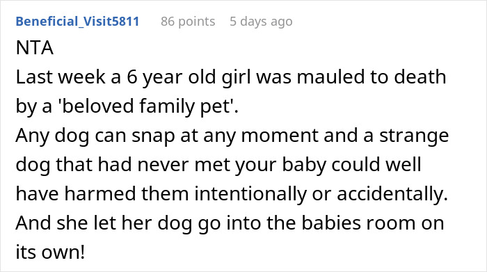 Babysitter Sneaks A Dog Into Her Clients&rsquo; Home Without Telling Them Beforehand, Gets Fired On The Spot