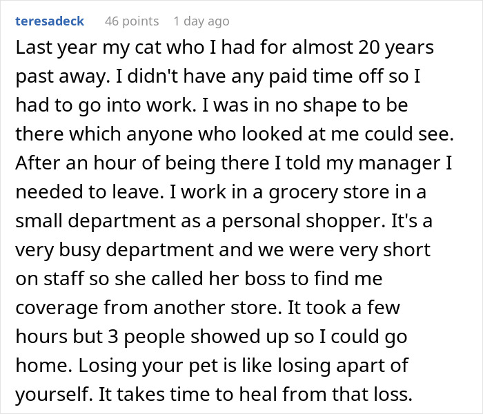 "It's Just A Dog": Employee's Dog Dies, His Boss Makes Him Show Up For Work, So He Maliciously Complies