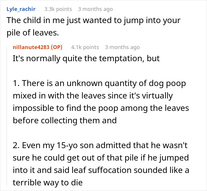 Man Buys The Rights To His Neighbors' Leaves To Mess With Leaf Collection Company's Ridiculous Rules By Building A Giant Pile Man Buys The Rights To His Neighbors' Leaves To Mess With Leaf Collection Company's Ridiculous Rules By Building A Giant Pile