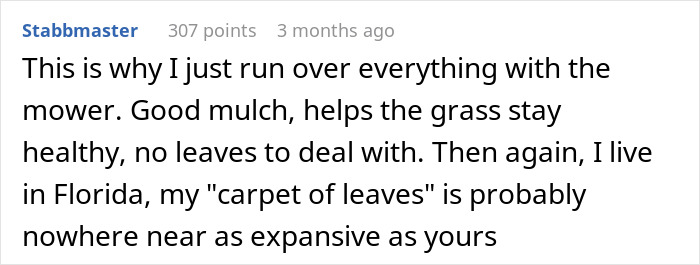 Man Buys The Rights To His Neighbors' Leaves To Mess With Leaf Collection Company's Ridiculous Rules By Building A Giant Pile Man Buys The Rights To His Neighbors' Leaves To Mess With Leaf Collection Company's Ridiculous Rules By Building A Giant Pile
