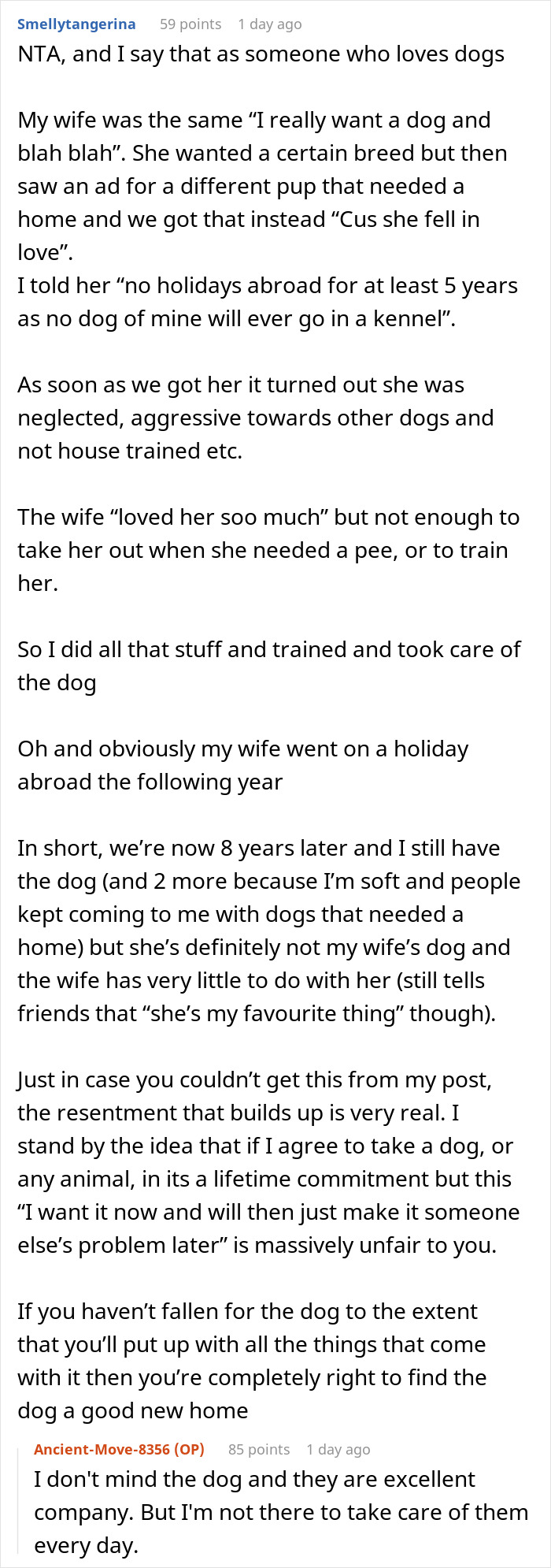 Man Never Wanted A Dog But Allowed His Wife And Kids To Have One As Long As They Took Care Of It, Gets Called A Jerk For Calling Out Their Neglect