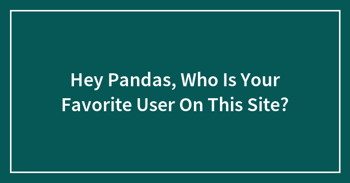 Hey Pandas, Who Is Your Favorite User On This Site?