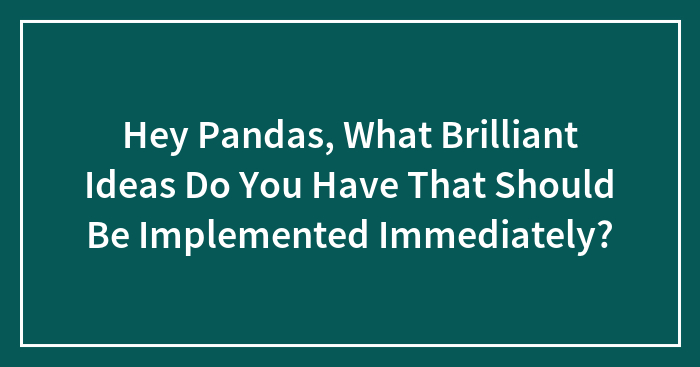 Hey Pandas, What Brilliant Ideas Do You Have That Should Be Implemented Immediately?