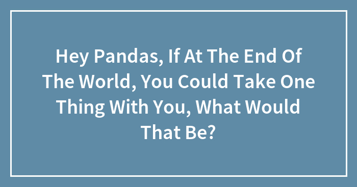 Hey Pandas, If At The End Of The World, You Could Take One Thing With You, What Would That Be? (Closed)