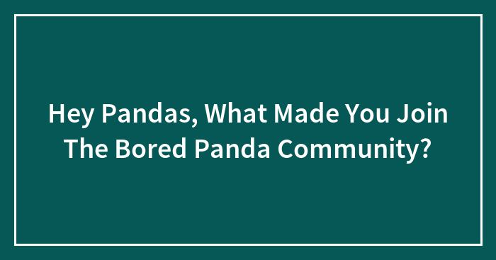Hey Pandas, What Made You Join The Bored Panda Community? (Closed)