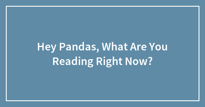 Hey Pandas, What Are You Reading Right Now?