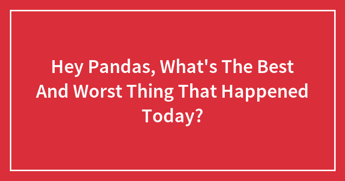 Hey Pandas, What’s The Best And Worst Thing That Happened Today? (Closed)