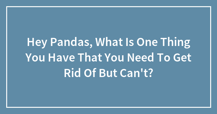 Hey Pandas, What Is One Thing You Have That You Need To Get Rid Of But Can’t? (Closed)