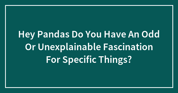 Hey Pandas Do You Have An Odd Or Unexplainable Fascination For Specific Things?