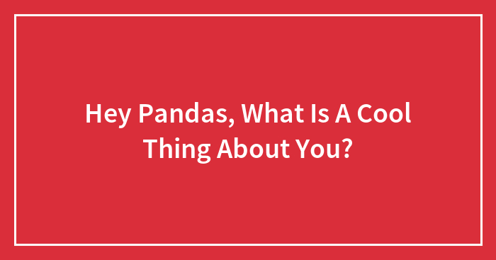 Hey Pandas, What Is A Cool Thing About You?