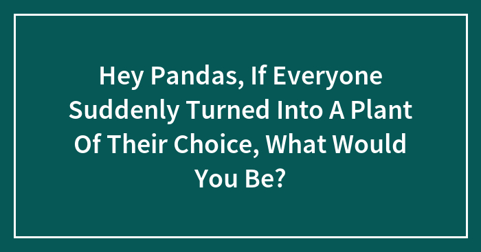 Hey Pandas, If Everyone Suddenly Turned Into A Plant Of Their Choice, What Would You Be? (Closed)