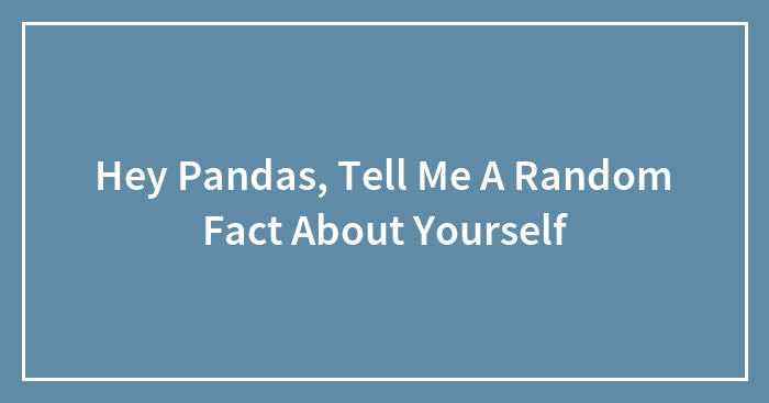 Hey Pandas, Tell Me A Random Fact About Yourself (Closed)