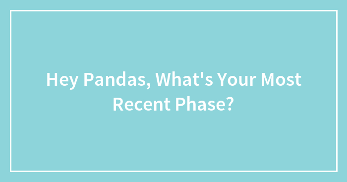 Hey Pandas, What’s Your Most Recent Phase?