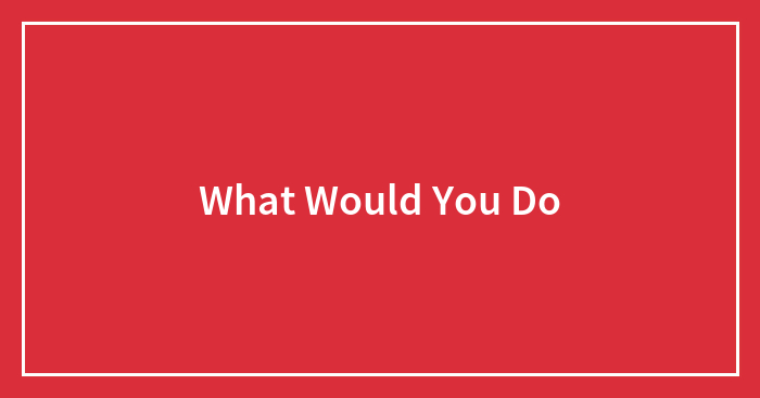 What Would You Do