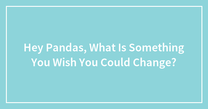 Hey Pandas, What Is Something You Wish You Could Change?