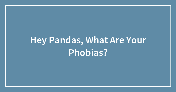 Hey Pandas, What Are Your Phobias?