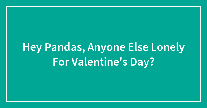 Hey Pandas, Anyone Else Lonely For Valentine’s Day?