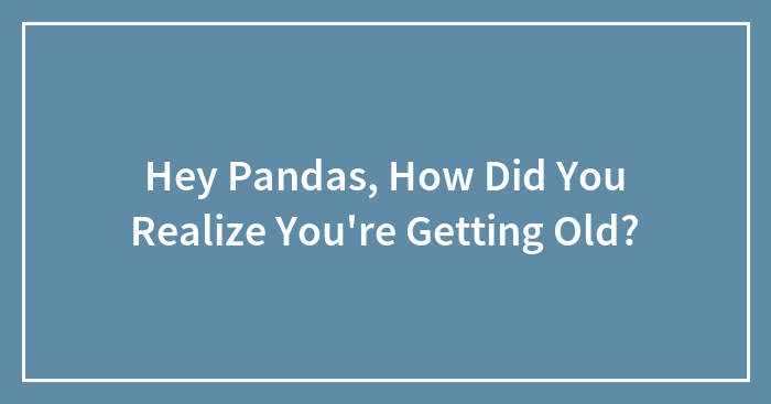 Hey Pandas, How Did You Realize You’re Getting Old?