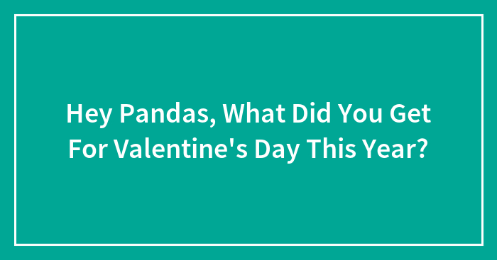Hey Pandas, What Did You Get For Valentine’s Day This Year? (Closed)