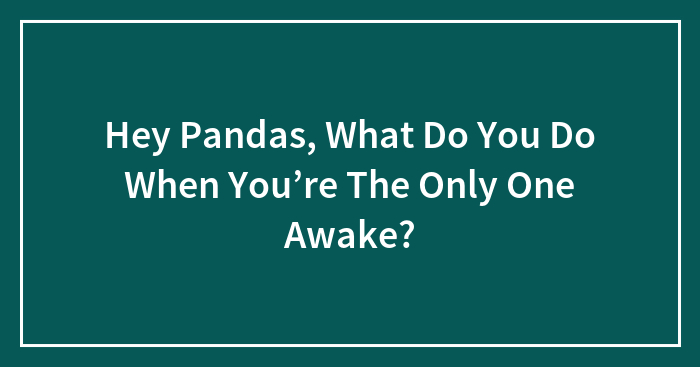 Hey Pandas, What Do You Do When You’re The Only One Awake? (Closed)