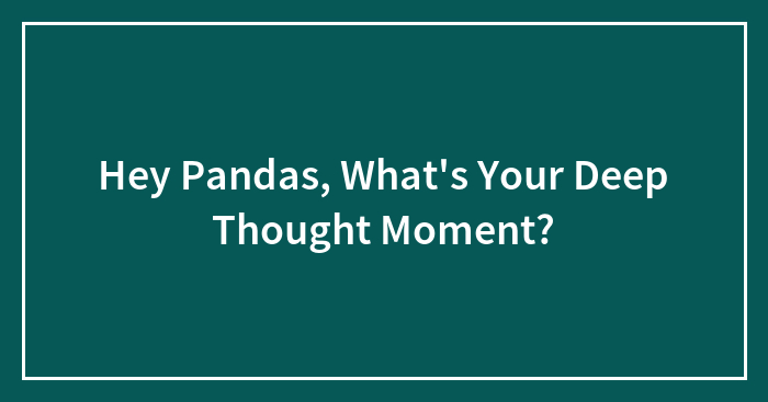 Hey Pandas, What’s Your Deep Thought Moment?
