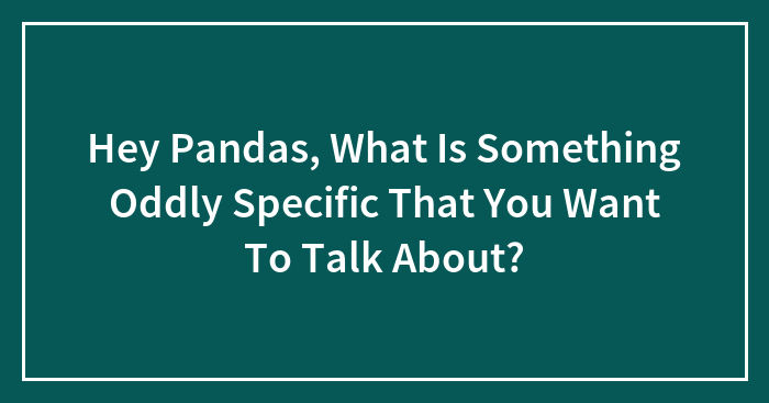 Hey Pandas, What Is Something Oddly Specific That You Want To Talk About? (Closed)