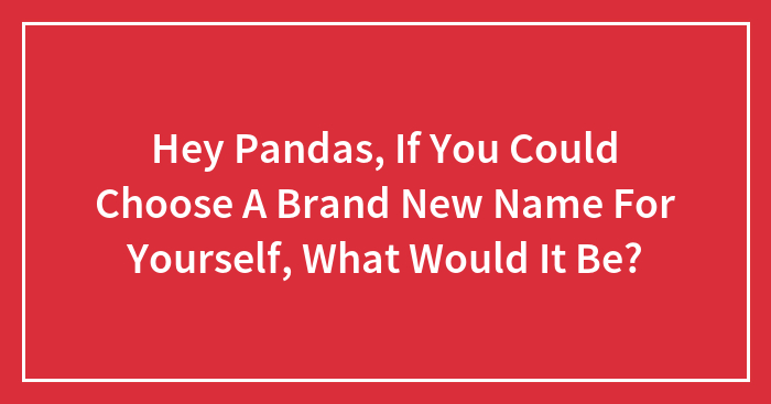 Hey Pandas, If You Could Choose A New Name For Yourself, What Would It Be?